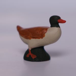 Canard