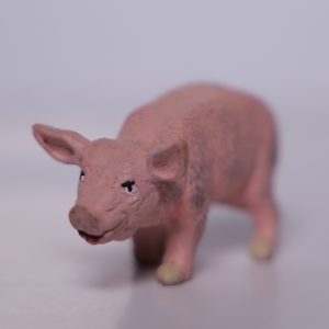 Cochon