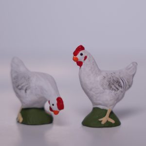 Poule blanche
