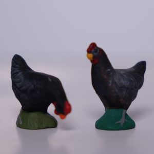 Poule noire