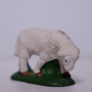 Mouton broutant